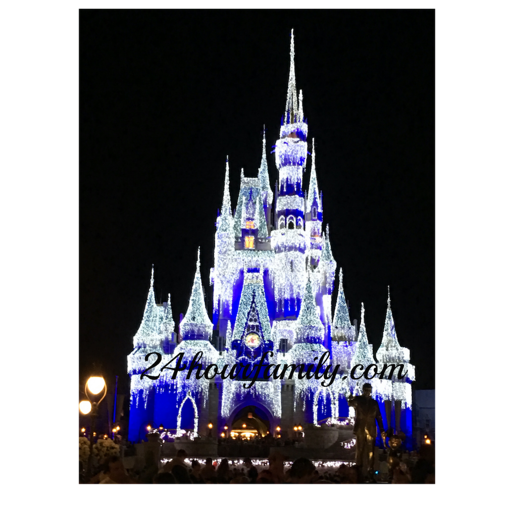 Disneyworld Castle with Lights