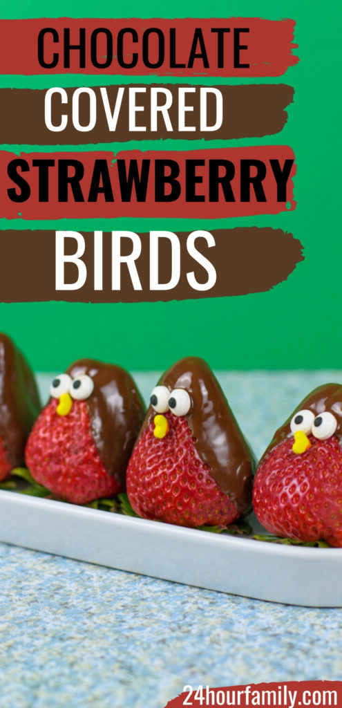chocolate covered strawberry birds