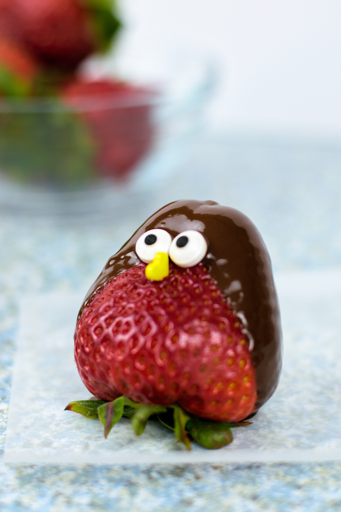 Chocolate strawberry bird
