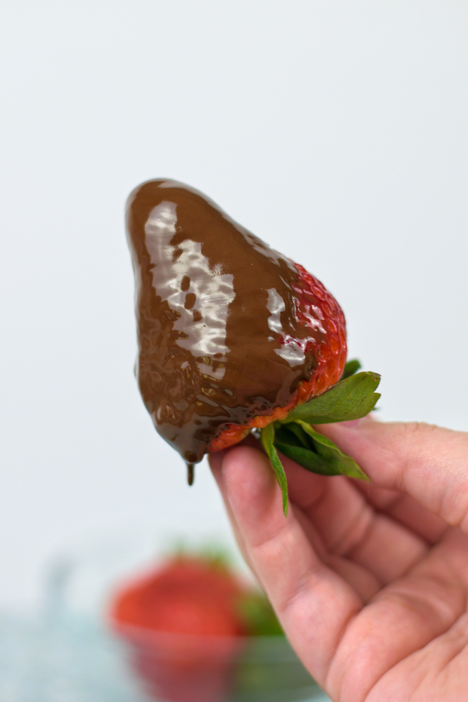 chocolate dipped strawberries 