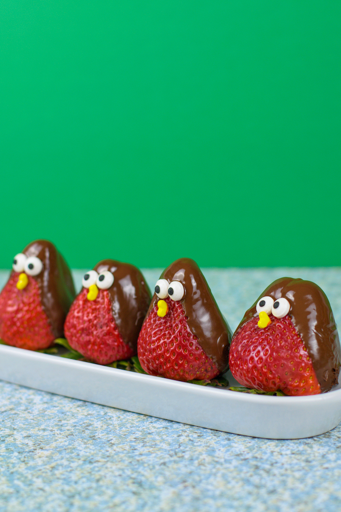 chocolate strawberry bird