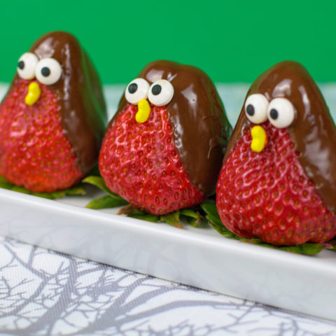 Chocolate Dipped Strawberry Birds