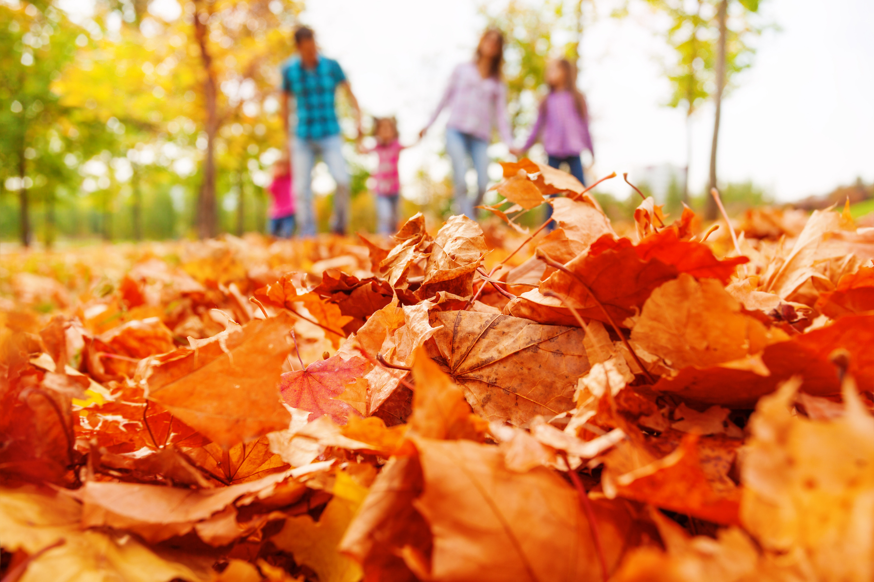 9 Kids Picnic Games for Outdoor Fall Fun