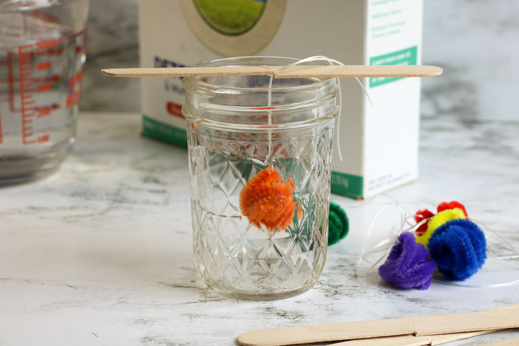 make crystals using pipe cleaners and borax