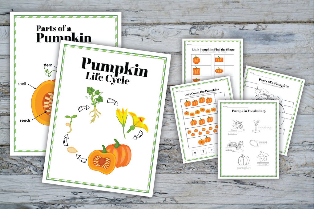 pumpkin life cycle free printable