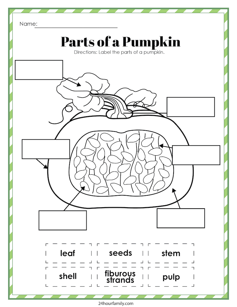 parts of a pumpkin free printable