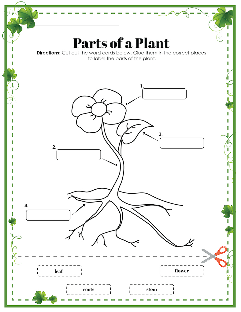 label the parts of a plant for kids 