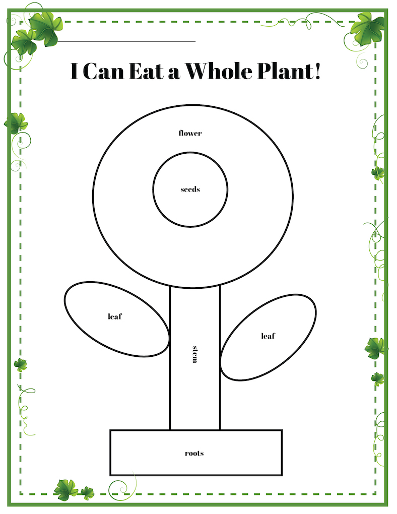 label the parts of a plant you can eat
