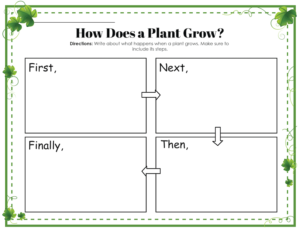 how does a plant grow learn about plants
