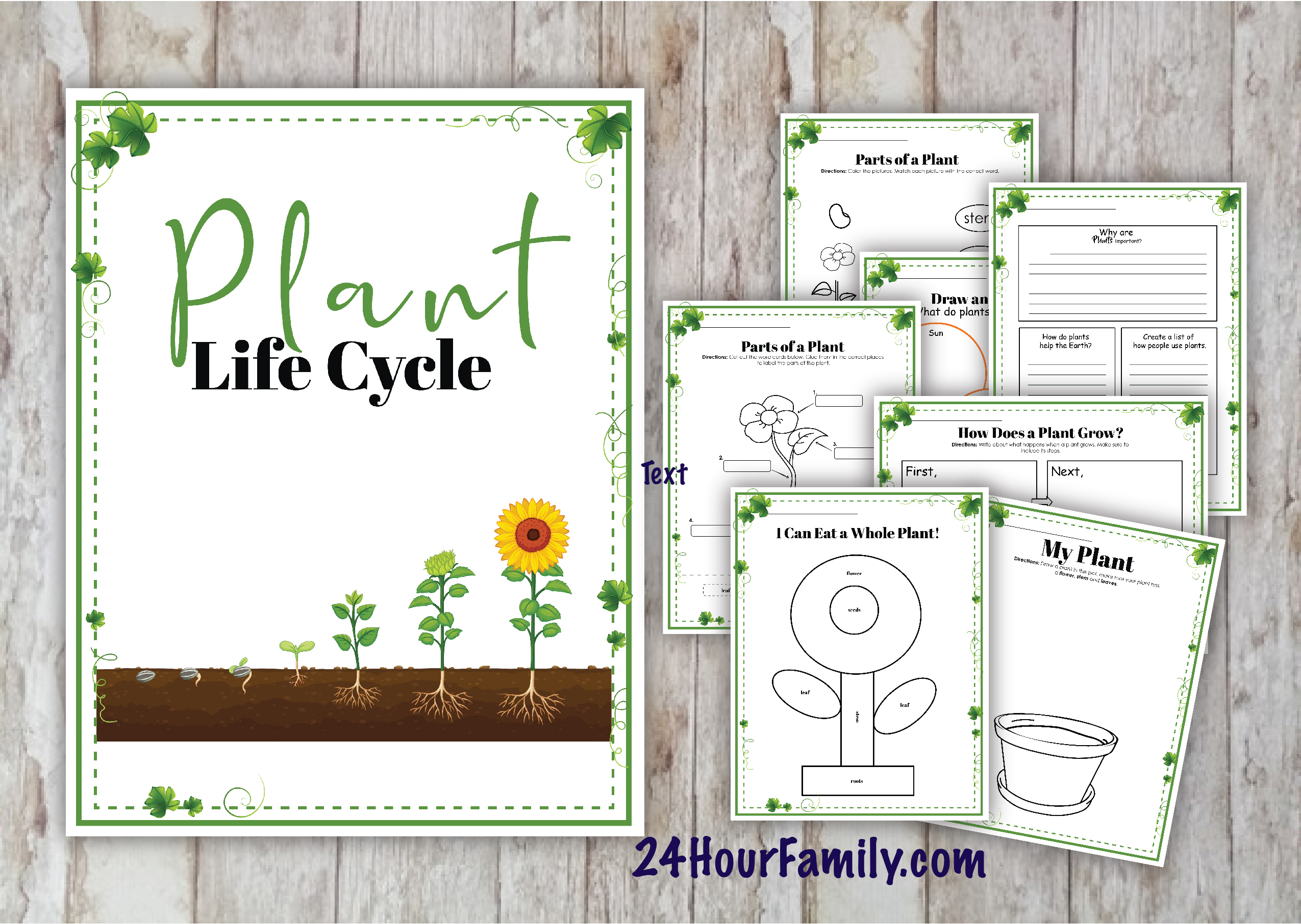 Parts of a plant worksheet for kids