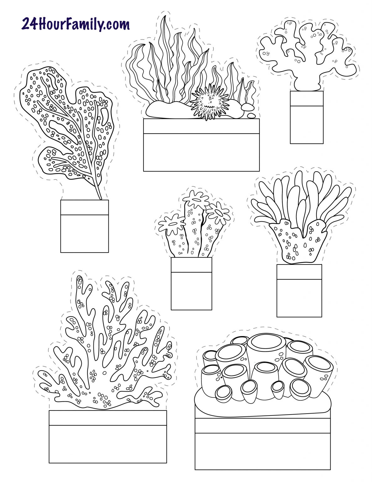 Make this Ocean Diorama (Plus Free Printable) - 24hourfamily.com