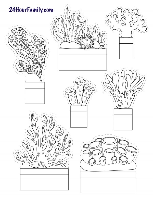 coral reef coloring page with printable cutouts for diorama coral reef templates for ocean diorama