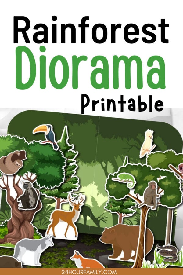 How to make a rainforest diorama printable science project