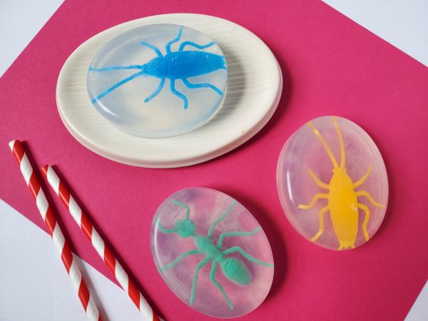 easy to make bug soap
