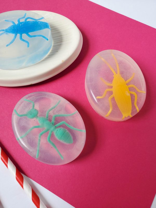 making a soap with bugs in it