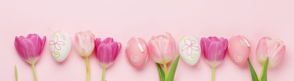 Easter spring background with pink tulip flowers and Easter eggs 