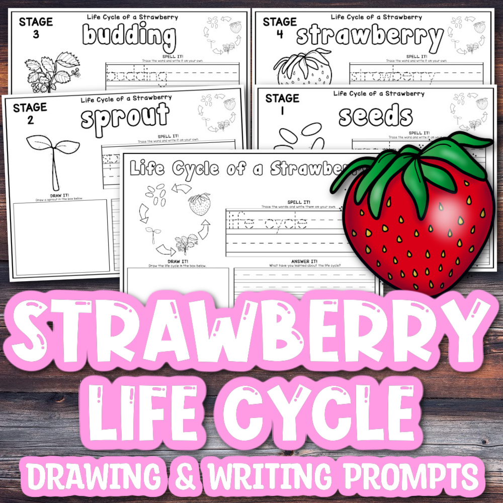 10 stages of the strawberry life cycle plus free printable