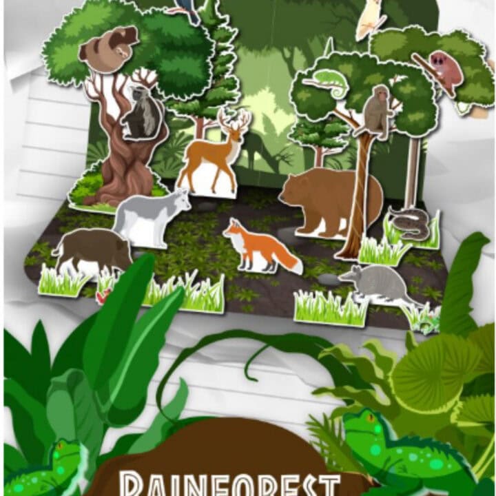 Printable Rainforest Diorama