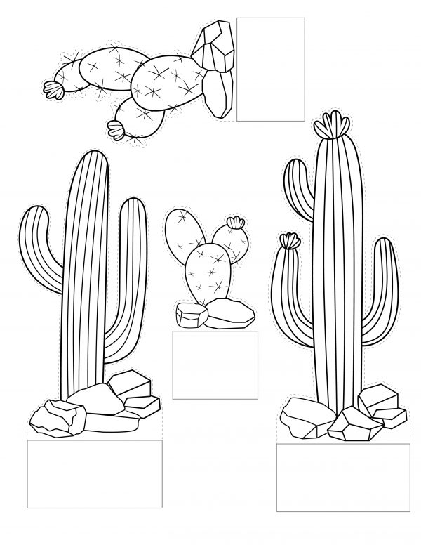 free printable cactus pdf cutout small cactus medium cactus cutout large cactus cutout