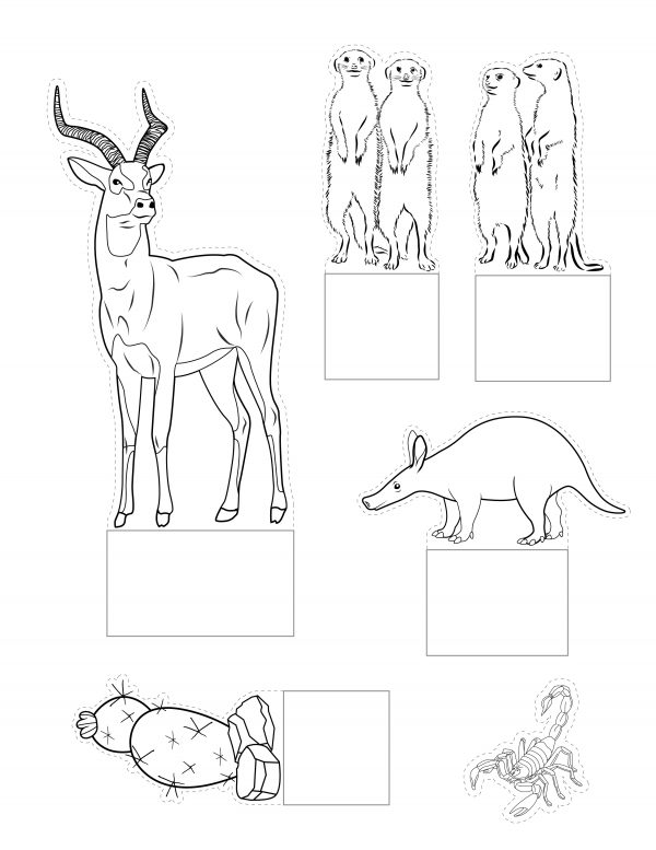 free printable pdf with cut out animals from the desert for a shoebox diorama