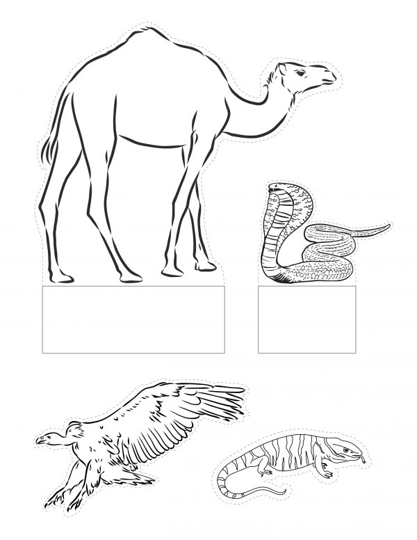 free printable pdf desert to make a desert diorama camel cutout snake cutout lizard cutout