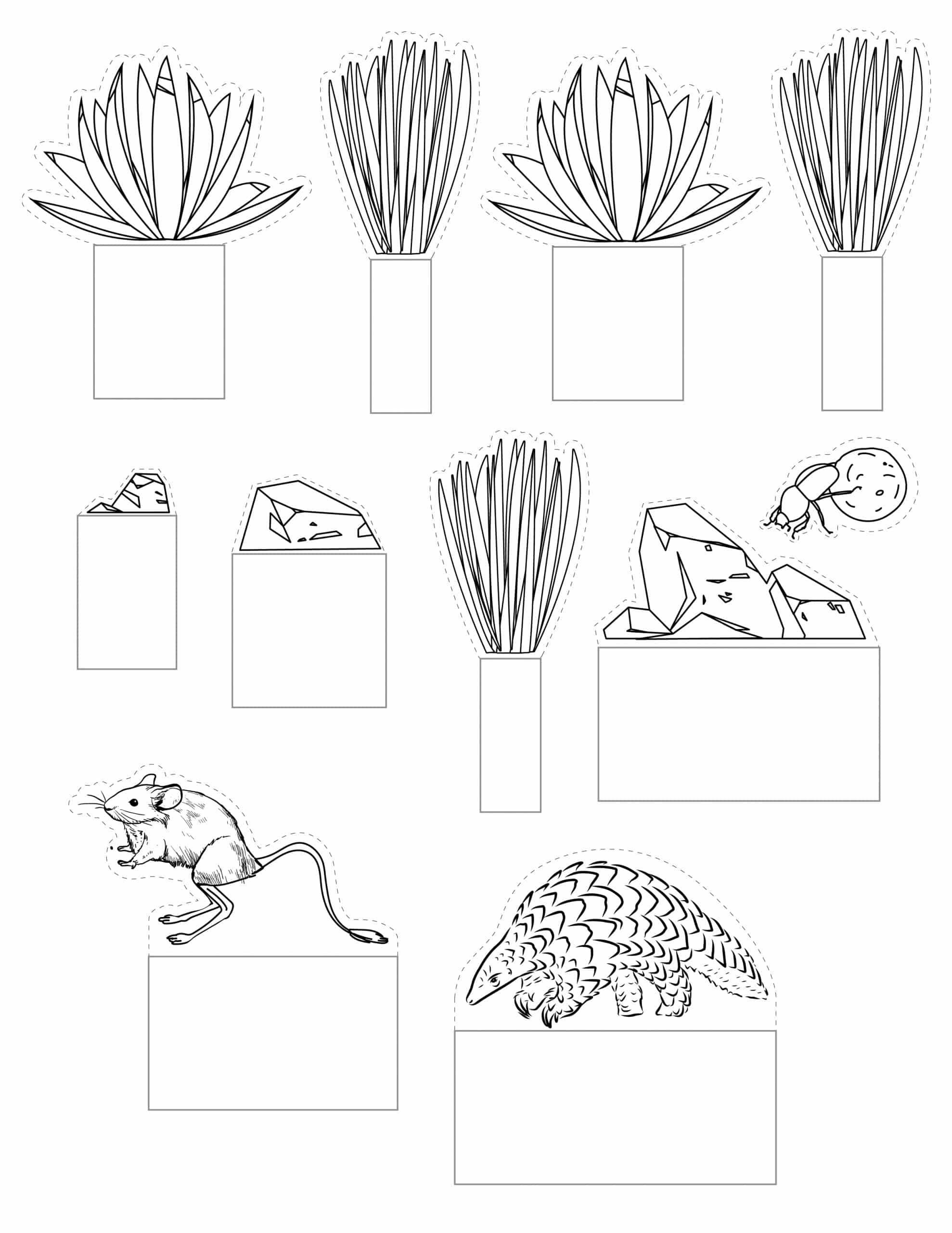 How to Make a Desert Diorama (Plus Free Printable) - 24hourfamily.com