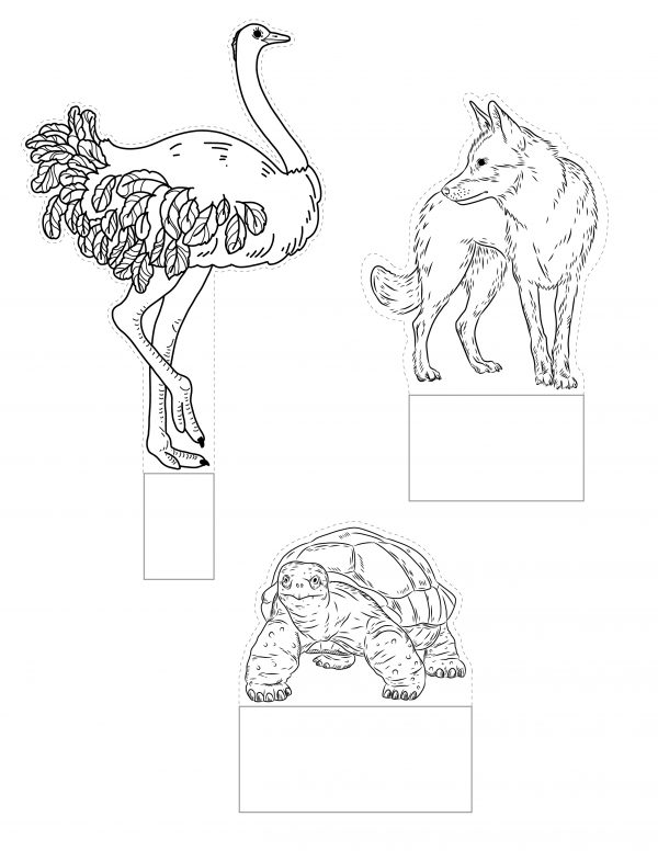free printable pdf ostrich cutout printable  wolf printable cutout turtle printable cutout