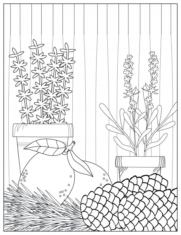 floral aesthetic coloring pages lavender coloring pages pine cone coloring pages