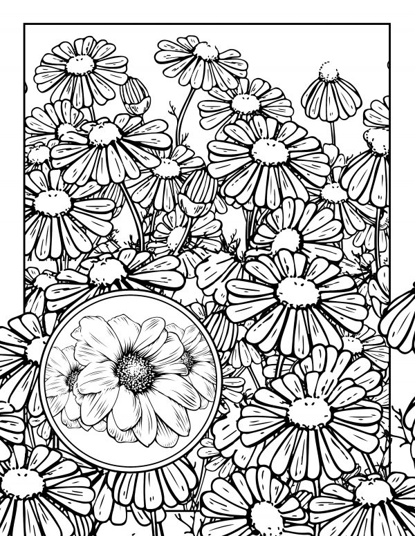 cute aesthetic coloring pages preppy coloring pages