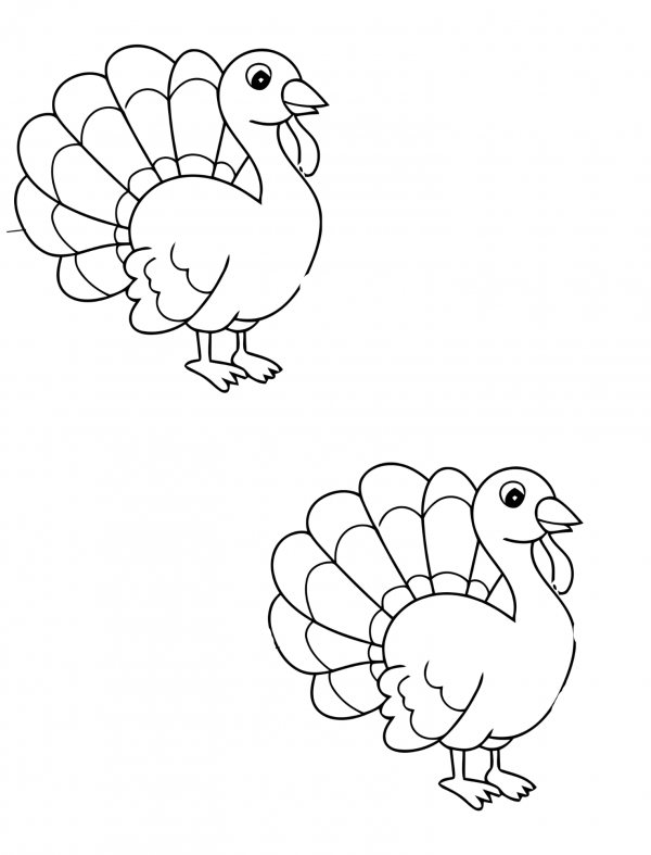preschool turkey template