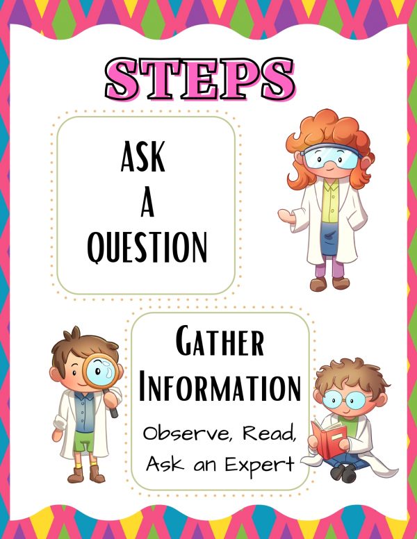 7 steps to ask when studying the scientific method find the probelm,ask a question, gather information,