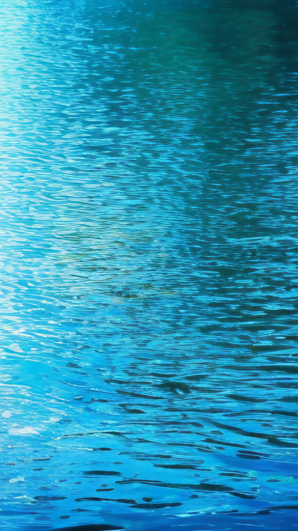 Lake phone Wallpaper Background