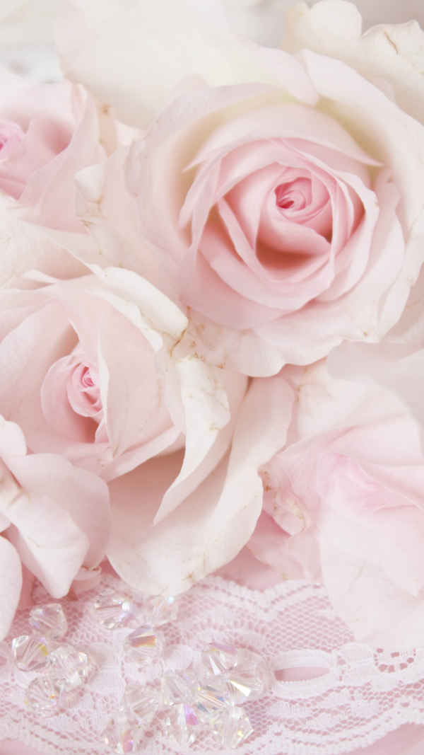 Pink roses backgrounds for phone