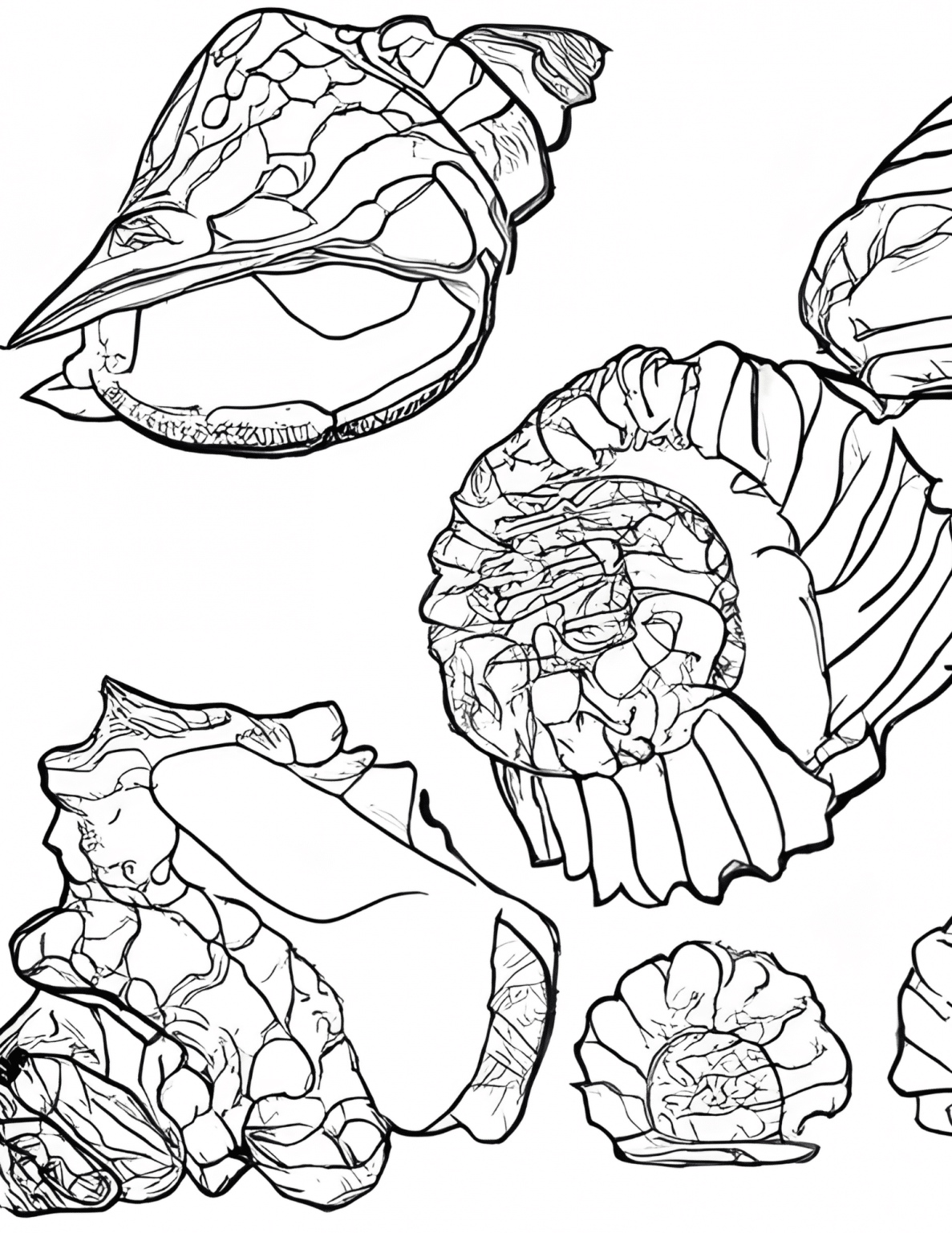 53 Free Beach Coloring Pages - 24hourfamily.com