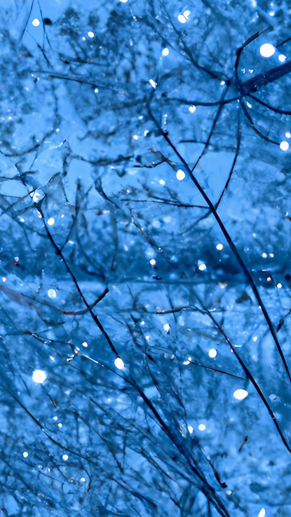 Icy Trees Wallpaper Background