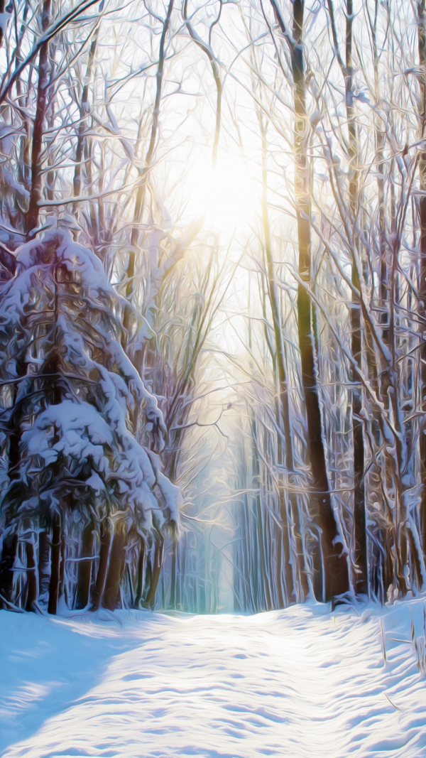 Beautiful winter forest aesthetic wallpapers for phones