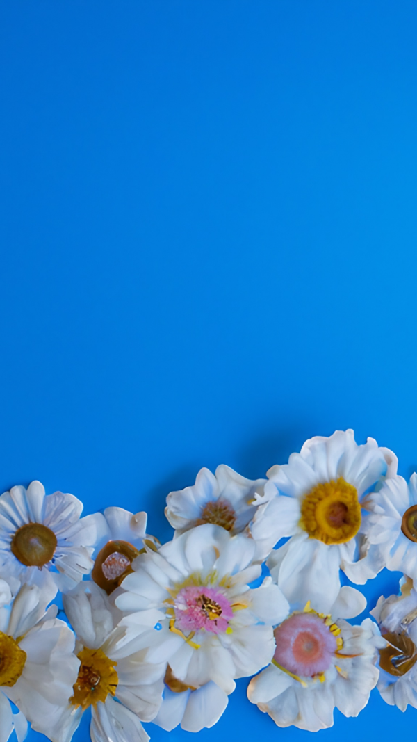 Royal blue backgrounds with flowers