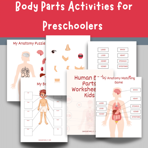 Body Parts Activities for Kids (Free Printables)