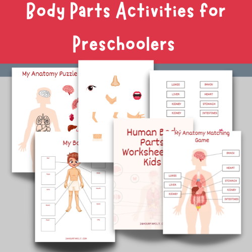 Body Parts Activities for Preschoolers (Free Printable)