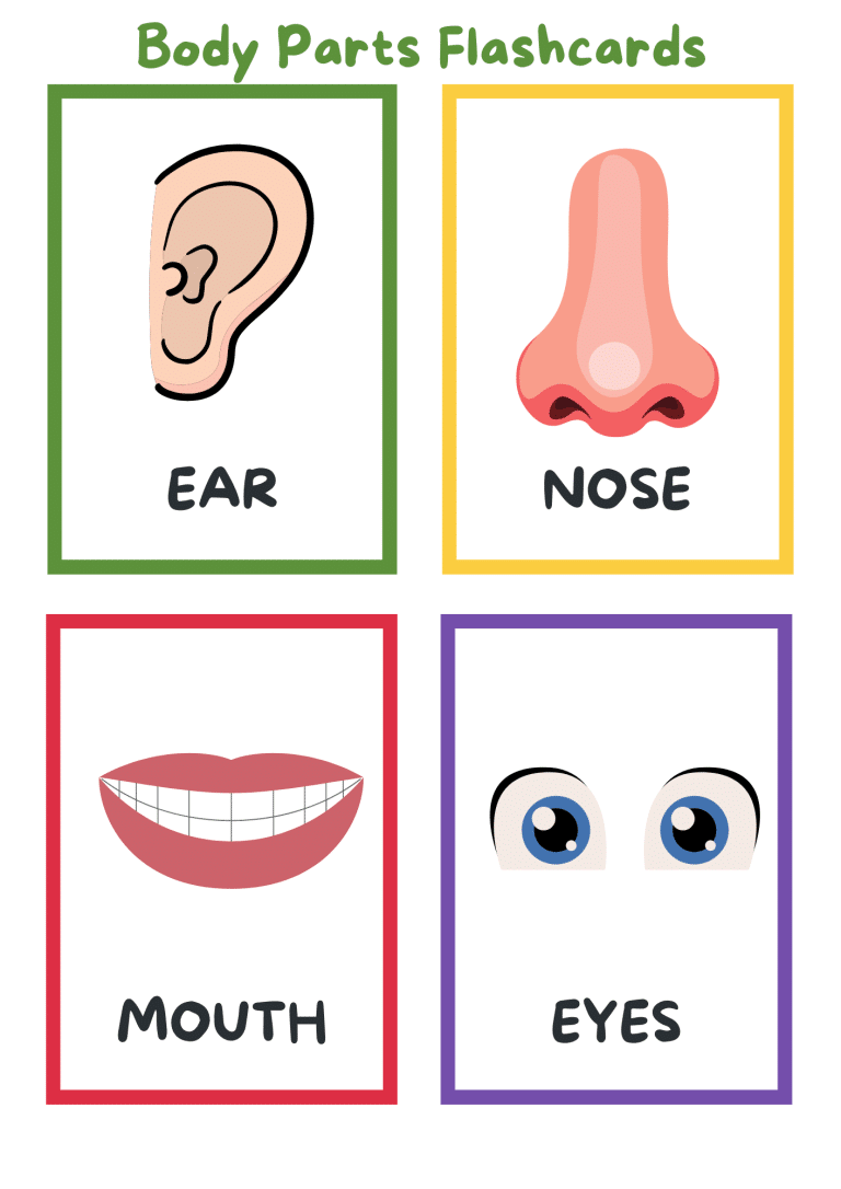 Free Body Parts Flashcards Printable for Kids - 24hourfamily.com
