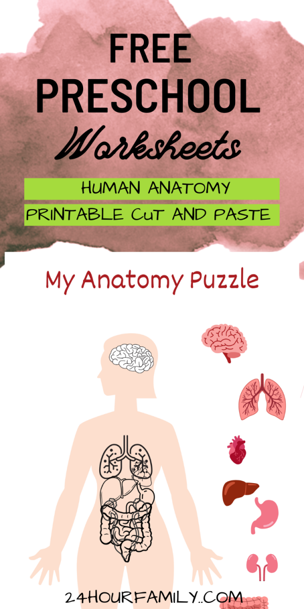 Free Preschool worksheets human anatomy printable cut and paste cut out printables for kids
