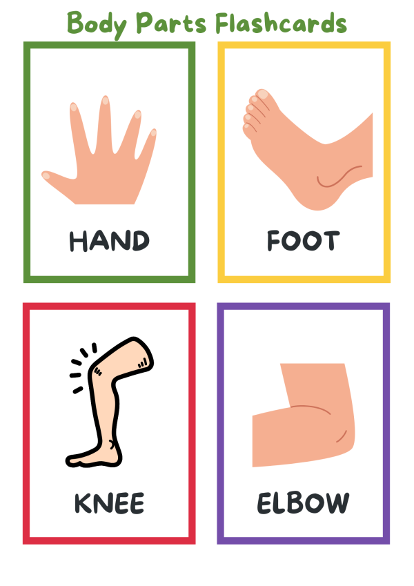 body parts printable flashcards perfect for preschool, kindergarten, grade school
