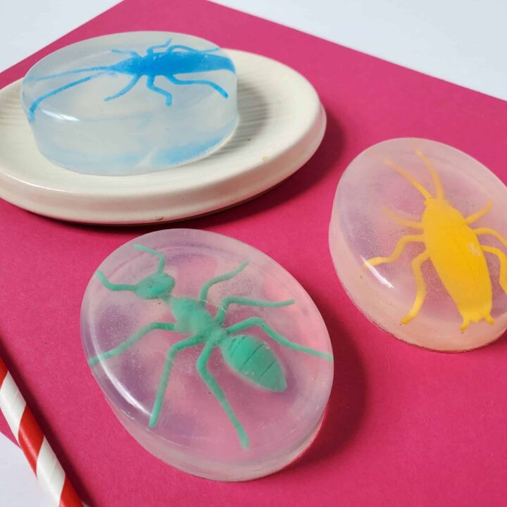how to make bug soap
