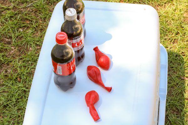 coke and candy rocks experiment for kids