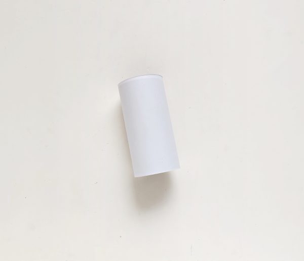 toilet paper roll for polar bear paper roll craft winter activity for kids