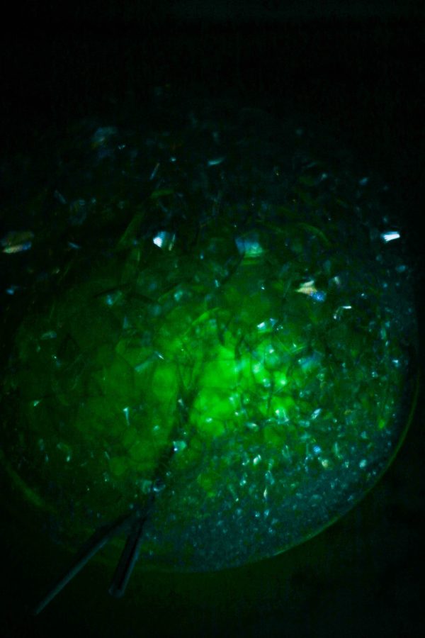 glow in the dark bubbles diy