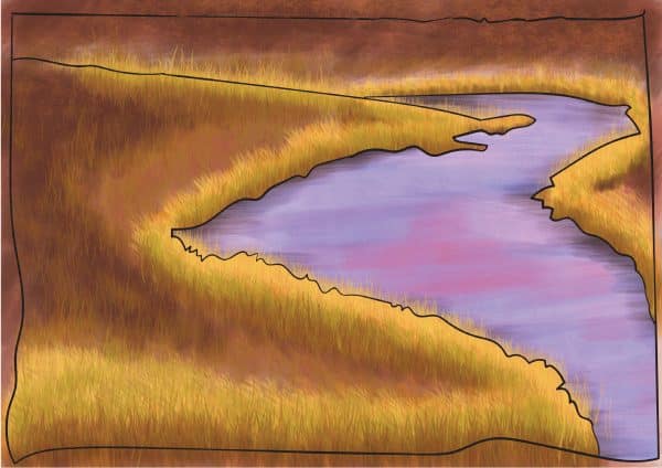 tundra biome facts