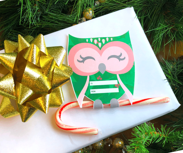 owl candy cane holder owl gift tags for christmas gifts