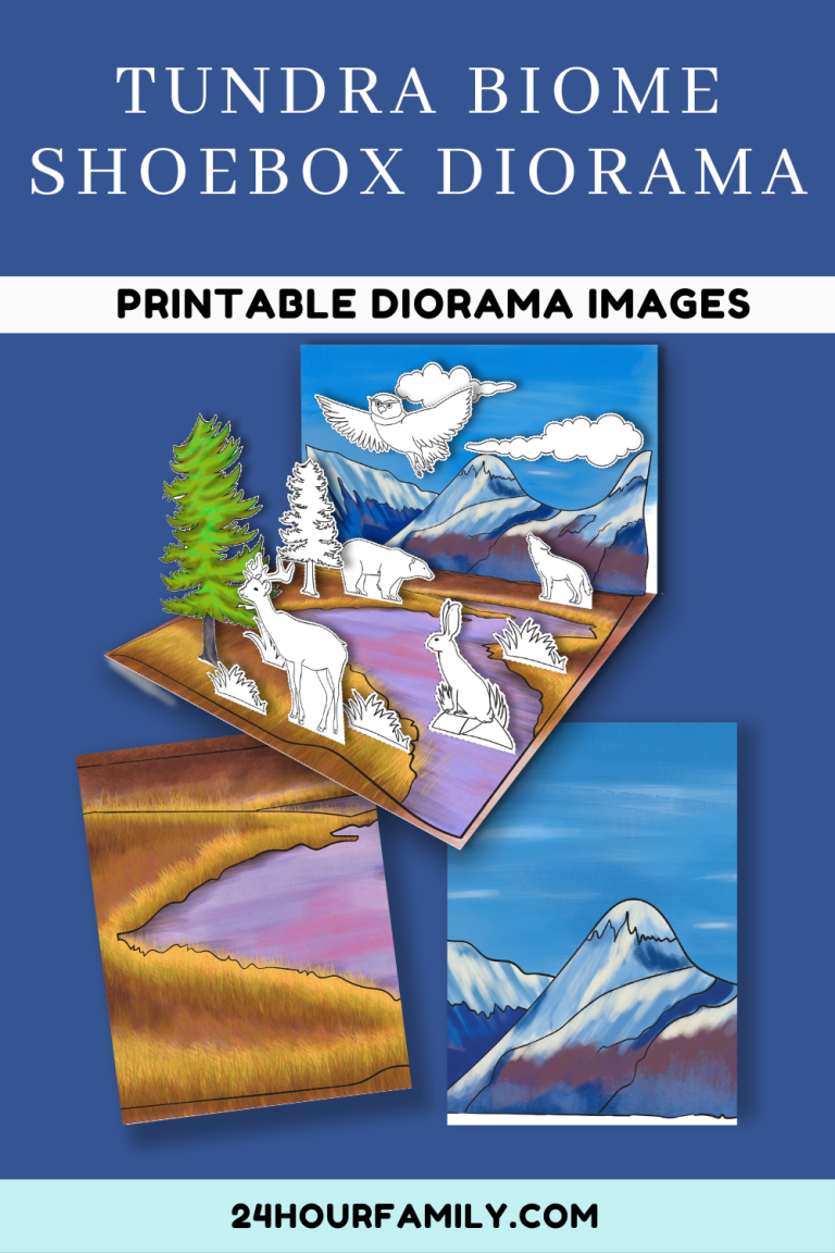 printable paper dioramam polar habitat diorama