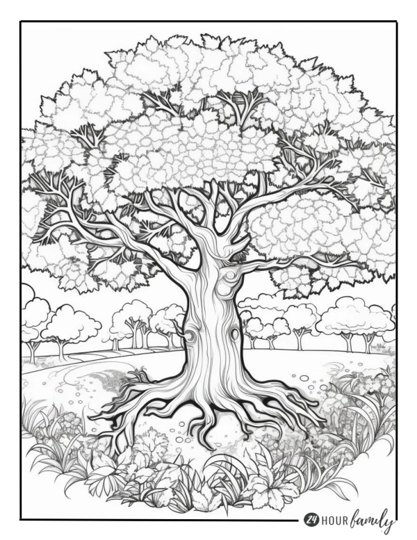 garden tree coloring pages